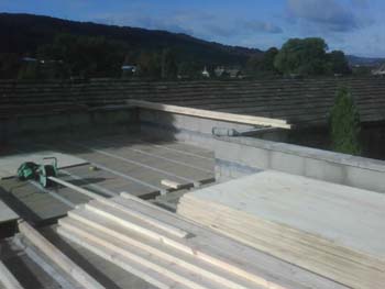 IMG00046-20081016-1132
