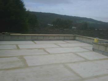 IMG00048-20081017-1036