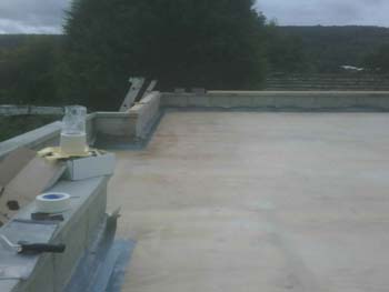 IMG00063-20081017-1425