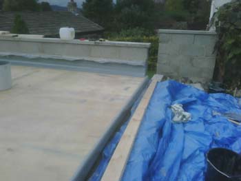 IMG00066-20081017-1425