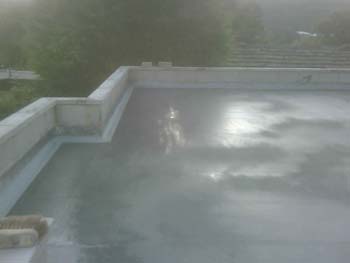 IMG00070-20081017-1637
