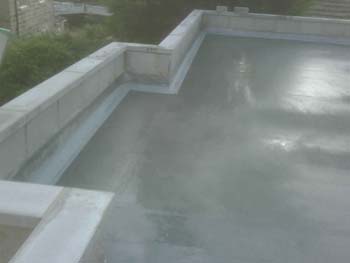 IMG00071-20081017-1637