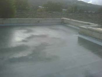 IMG00072-20081017-1637