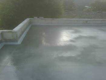 IMG00073-20081017-1638
