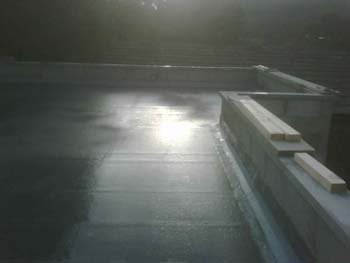 IMG00074-20081017-1638