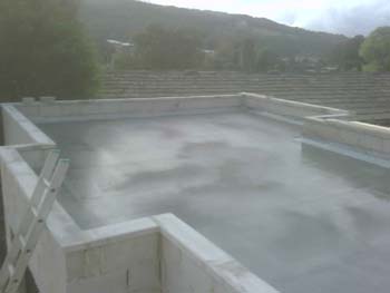 IMG00076-20081017-1638
