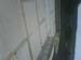 IMG00052-20081017-1037