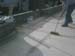 IMG00058-20081017-1147