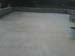 IMG00067-20081017-1425